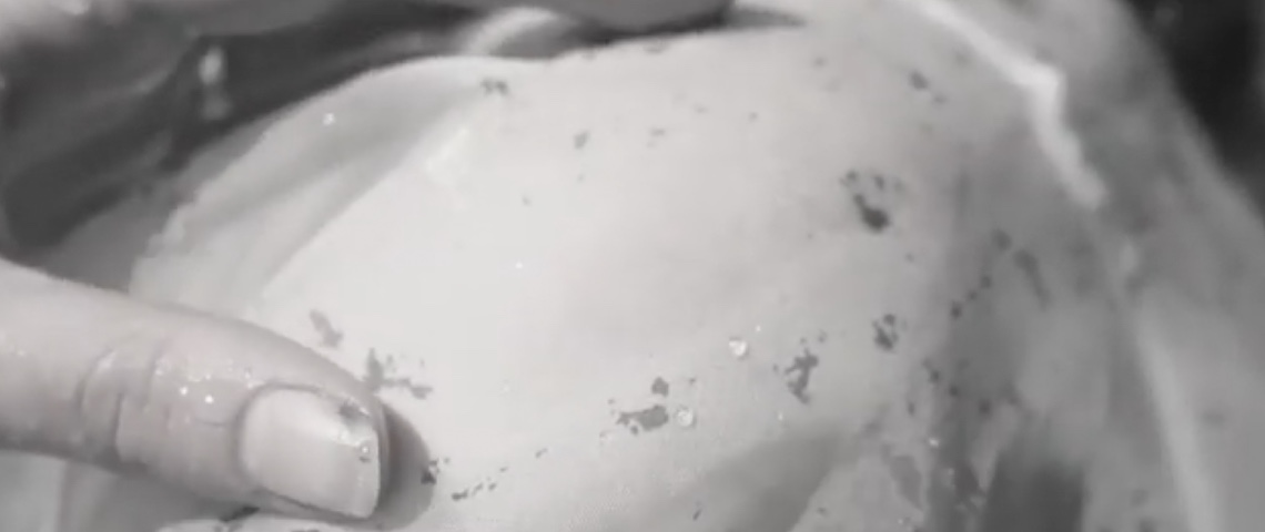Un tissu vivant, l'idée d'une designeuse pour lutter contre l'industrie textile Copie d'écran YouTube Roya Aghighi