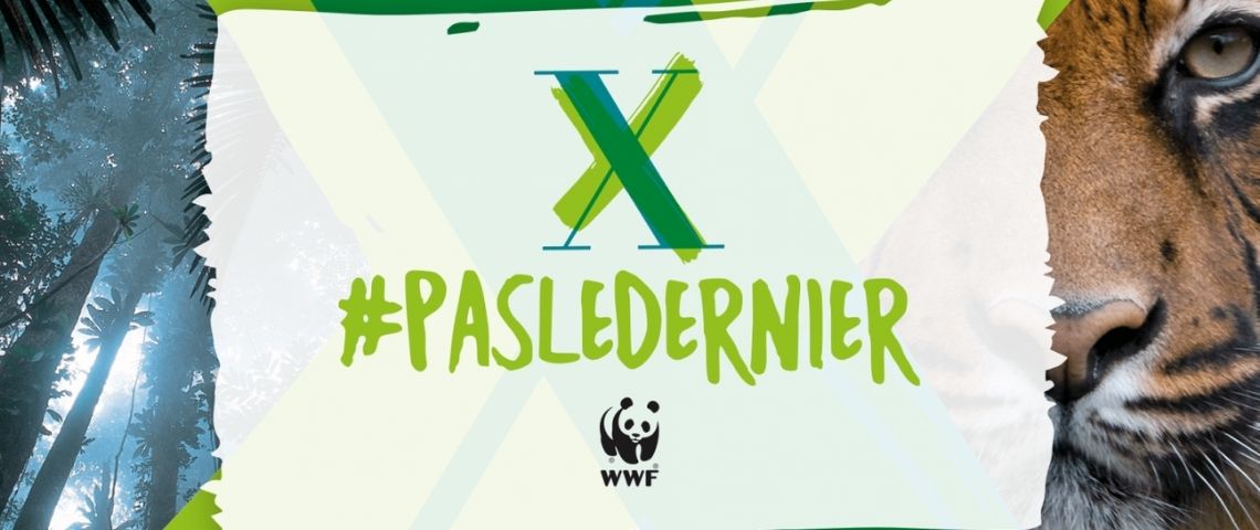 Le WWF France lance la campagne #PasLeDernier aux côtés de personnalités du monde du sport et de la culture Logo de la campagne #pasledernier