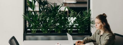 Il faut avoir un bureau Zoomable Une femme qui travaille sur un ordinateur devant un miroir avec des plantes