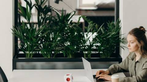Une femme qui travaille sur un ordinateur devant un miroir avec des plantes