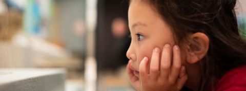 Face à la menace climatique, la culture et le patrimoine en transition(s) Petite fille qui regarde quelque chose