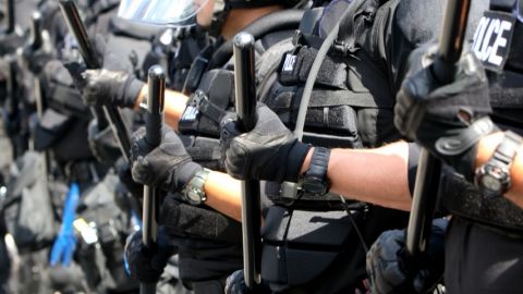 La plume contre le baton