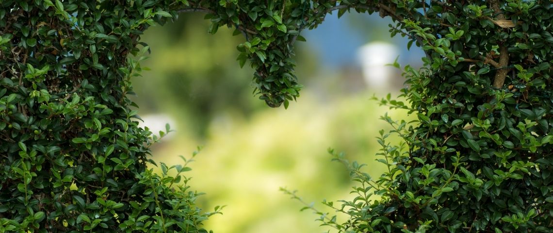 AXA nous projette dans le futur pour présenter son label assurance citoyenne accompagnée par son agence Rosapark Ouverture dans une haie en forme de coeur