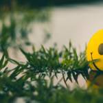 Une balle Smiley flotte dans une marre d'eau