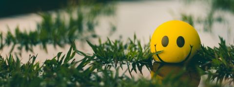 5 bonnes nouvelles pour se redonner espoir pendant le confinement Une balle Smiley flotte dans une marre d'eau