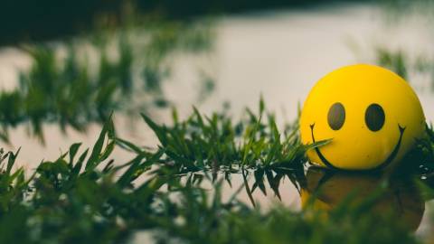 Une balle Smiley flotte dans une marre d'eau