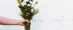 Une main tenant un bouquet de fleurs blanches