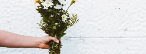 Quelles sont les bonnes nouvelles du confinement ? Une main tenant un bouquet de fleurs blanches