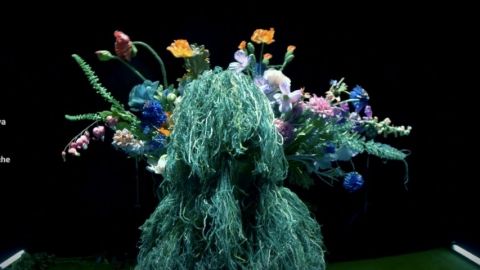 Comment s’inspirer du vivant pour transformer l’indignation en action ? 