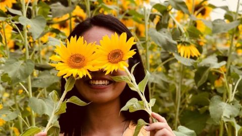 Une femme dans un champ de tournesols