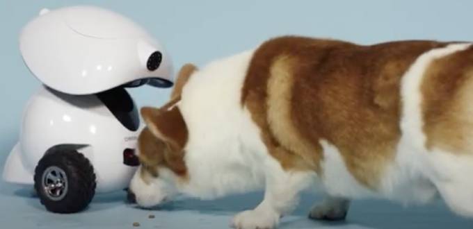 Robot Dogness iPet robot