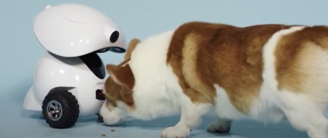 4 tech flippantes pour se surveiller en famille Robot Dogness iPet robot