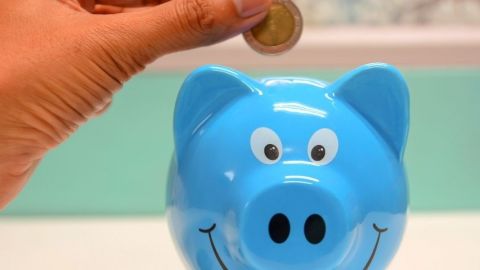 Une tirelire cochon bleue