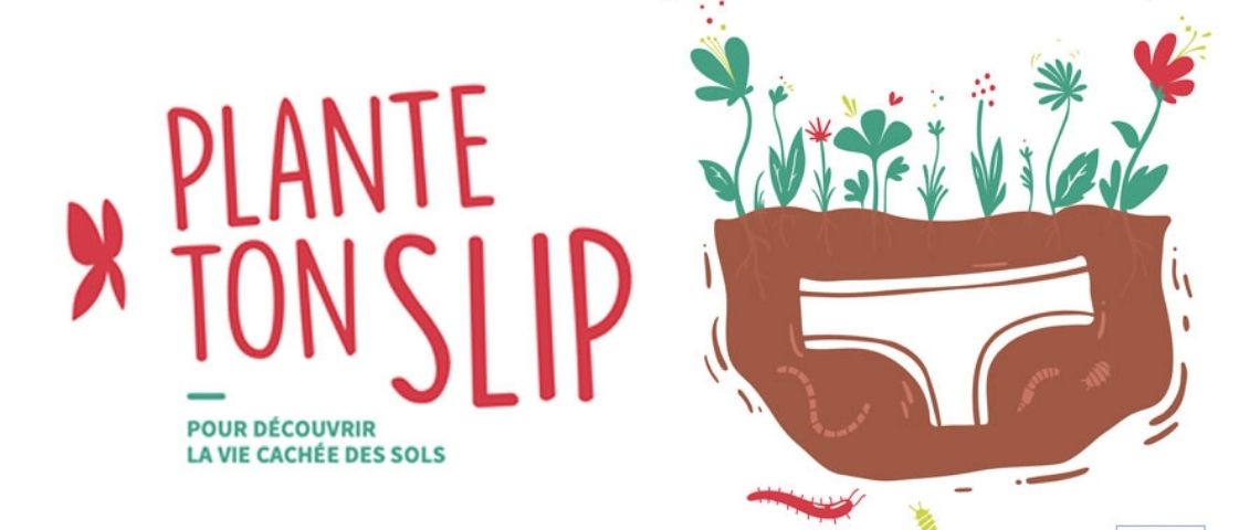 Afin de sensibiliser et d’encourager chacun à observer la vie cachée des sols, l’ADEME propose… de planter un slip ! Affiche de l'opération