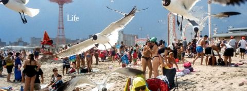 Pubs, docus, courts métrages : nos 10 films préférées de 2020 plage avec des gens et des mouettes