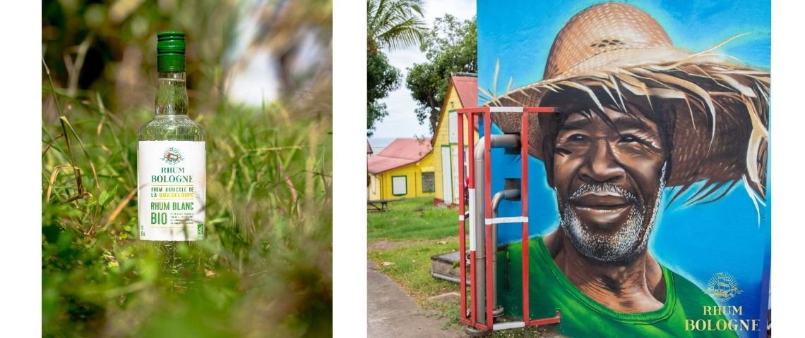 L'emblématique distillerie guadeloupéenne Bologne dévoile son premier rhum bio bouteille de rhum Bologne Bio