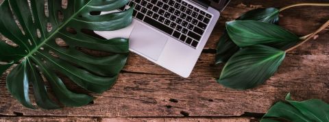 E-commerce éthique : quelles sont les alternatives à Amazon ? Un ordinateur portable sur une table en bois au milieu de feuilles d'arbre