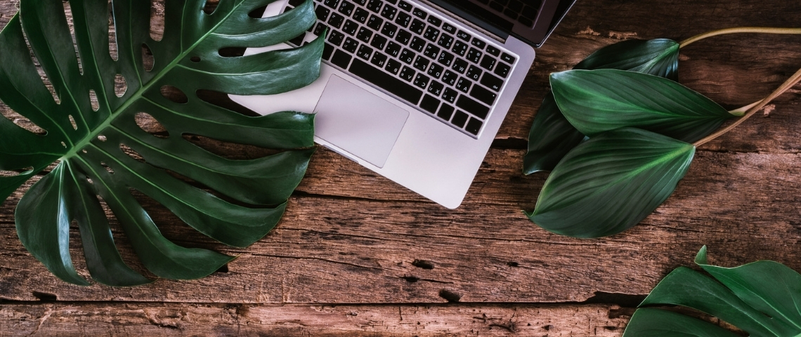 E-commerce éthique : quelles sont les alternatives à Amazon ? Un ordinateur portable sur une table en bois au milieu de feuilles d'arbre