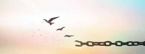 Comment libérer l'entreprise des a priori ? Comment libérer l'entreprise des a priori ?