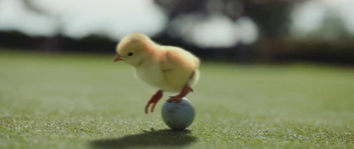 La nouvelle campagne de Super U, créée par l'agence TBWAParis, met l’accent sur l’origine de ses produits. Poussin sur un oeuf