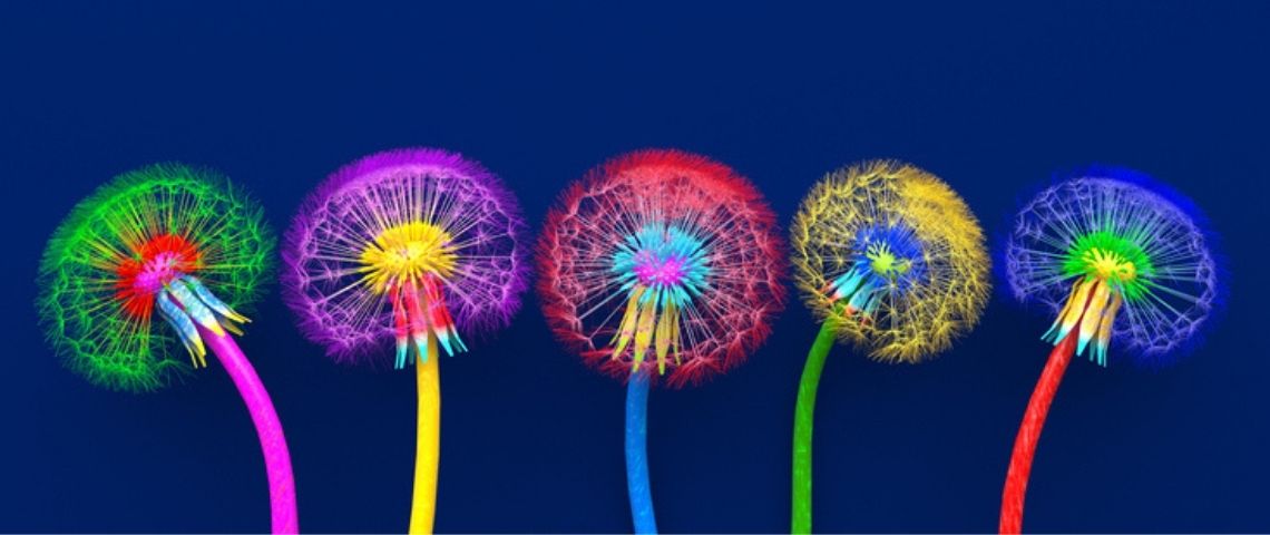 Les 4 étapes incontournables pour développer sa plateforme de marque Quatre fleurs