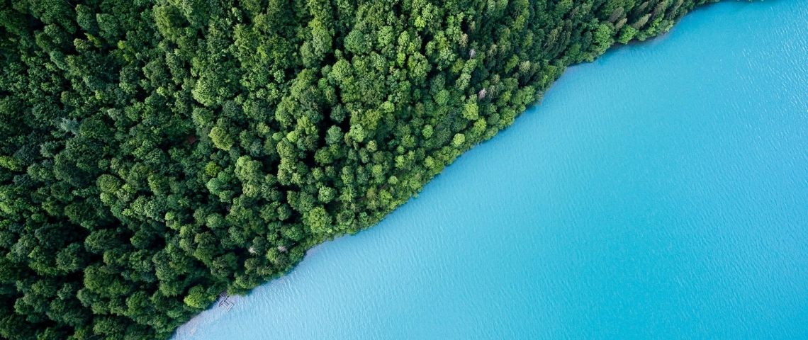 Développement durable : les 9 entreprises françaises les plus engagées La forêt et la mer