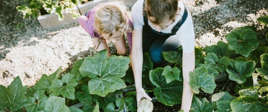 Shift Your Job : la plateforme qui réconcilie emploi et climat Des enfants dans un potager