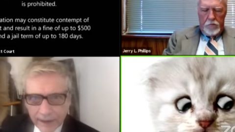 Filtres inadaptés, règlements de compte... Quand Zoom devient une telenovela