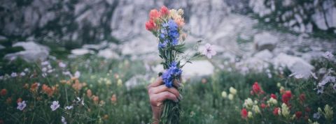 Comment le Green New Deal peut-il nous faire sortir de la crise ? Une main tenant un bouquet de fleurs
