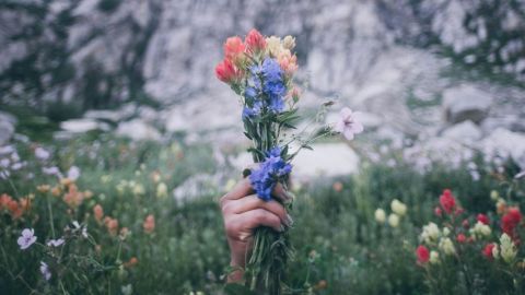Une main tenant un bouquet de fleurs
