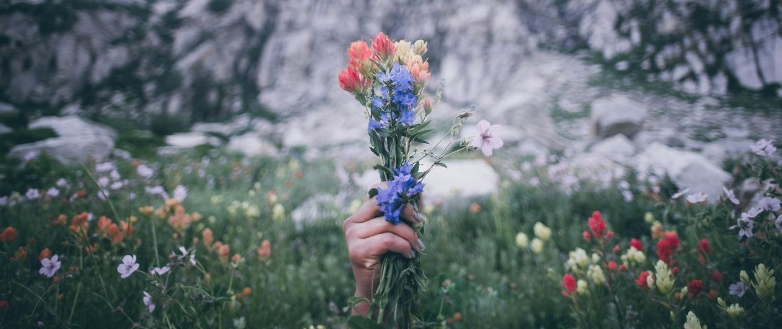 Comment le Green New Deal peut-il nous faire sortir de la crise ? Une main tenant un bouquet de fleurs