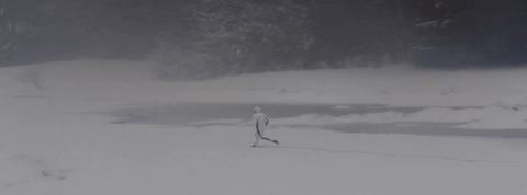 A la rencontre des jeunes artistes qui explorent la collapsologie A la rencontre des jeunes artistes qui explorent la collapsologie