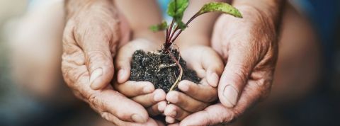 Quelle est la stratégie de Schneider Electric en matière de développement durable ? Les mains d'un adulte et d'un enfant tenant une jeune pousse