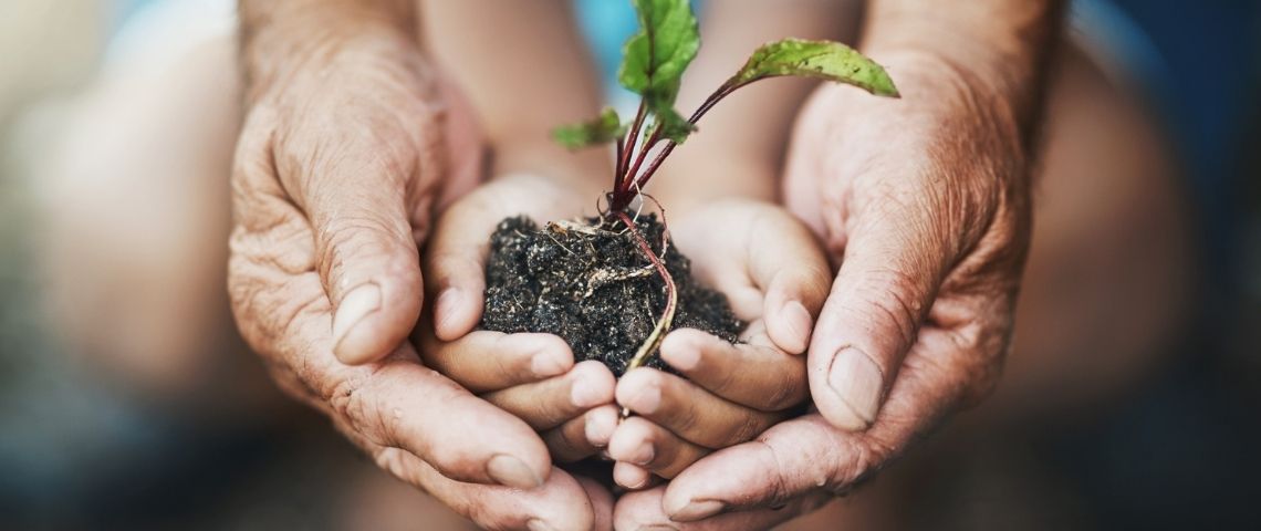 Quelle est la stratégie de Schneider Electric en matière de développement durable ? Les mains d'un adulte et d'un enfant tenant une jeune pousse