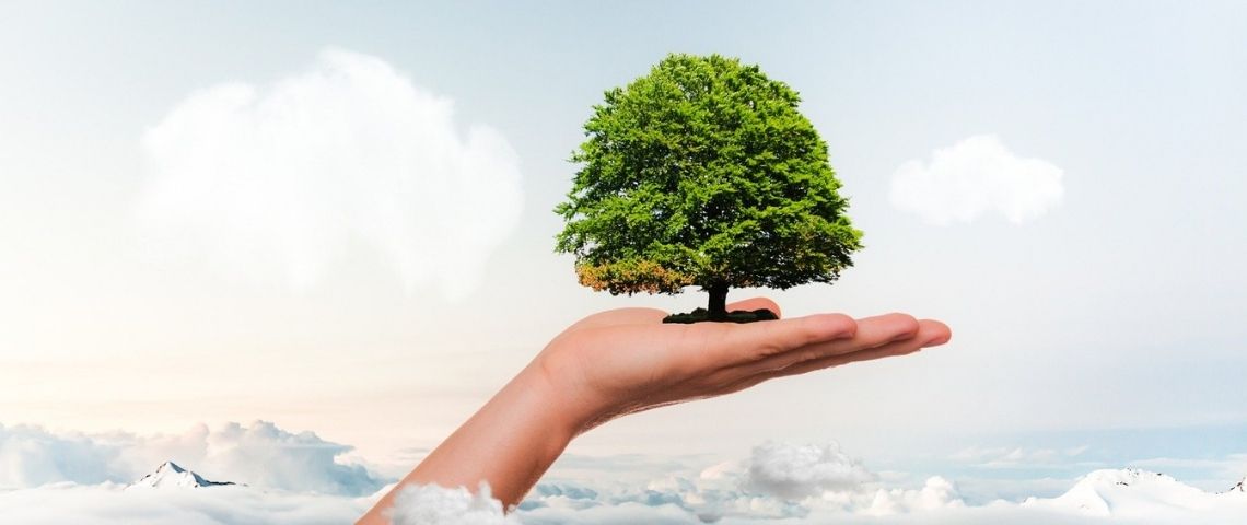 Dan le cadre de son plan - J'avance avec Altice - Alitce Média lance l'offre - compens'actif - pour une publicité digitale Personne tenant un arbre dans sa main, au dessus des nuages