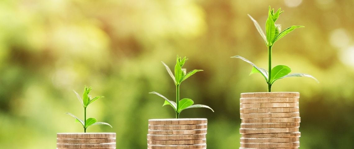 Helios est une écobanque qui propose un nouveau modèle 100% vert, 100% durable, et 100% transparent. Petites plantes vertes pousasant sur des tas de pièces