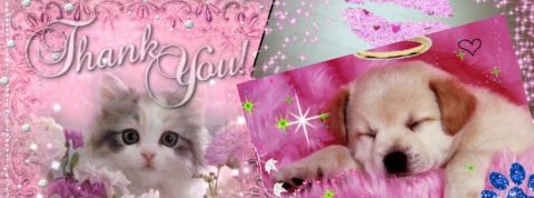 Passion Skyblog : le meilleur des années 2 000 en un compte Instagram Passion Skyblog : le meilleur des années 2 000 en un compte Instagram