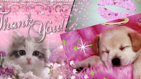 Passion Skyblog : le meilleur des années 2 000 en un compte Instagram