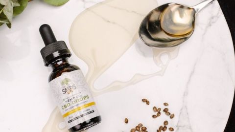 Envie de se lancer dans le business du CBD ? Les indicateurs sont au « vert » 