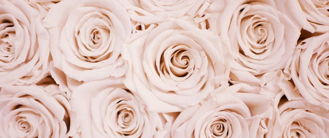 Lancôme lance son programme de développement durable « Prendre soin d'aujourd'hui pour un avenir plus heureux » qui cadre l'ensemble des ambitions de la marque en matière de développement durable et d'inclusion sociale Roses