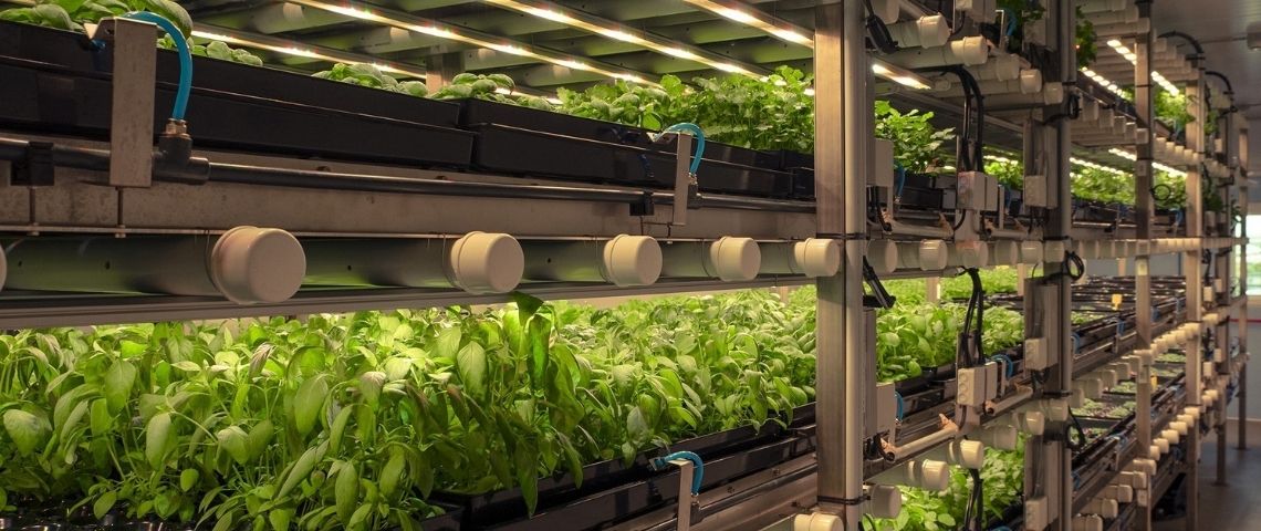 Fondée en 2016, l'AgriTech Jungle réalise sa première levée de fonds de 42M€ et ambitionne de devenir l'un des champions français de la Tech for Good Ferme verticale