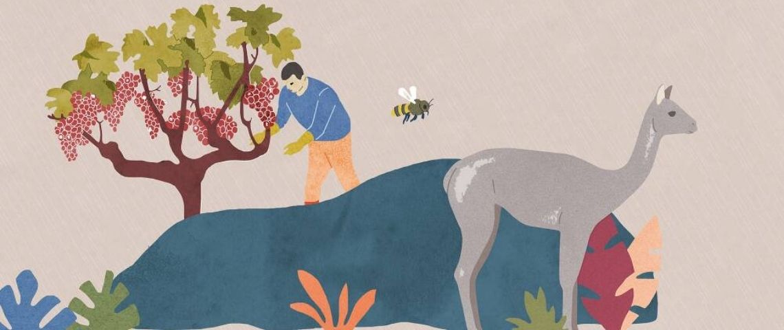 Partenaire du programme UNESCO MAB (Man and the Biosphere) qui célèbre ses 50 ans cette année, LVMH a révélé sa nouvelle stratégie en matière de biodiversité à l’occasion du Forum d’idées « Notre Planète, Notre Futur » organisé par l’UNESCO. Illustration d'un homme s'occupant d'un arbre dans avec des animaux à ses côtés
