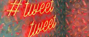 Un mur avec du papier peint et des néons rouges indiquant "tweet tweet"