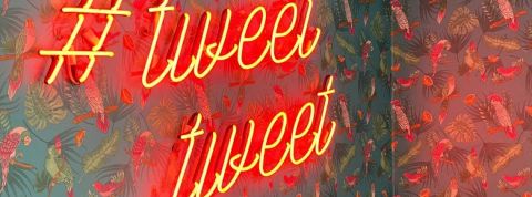 Qu'est-ce que le clout mining ? Un mur avec du papier peint et des néons rouges indiquant - tweet tweet -