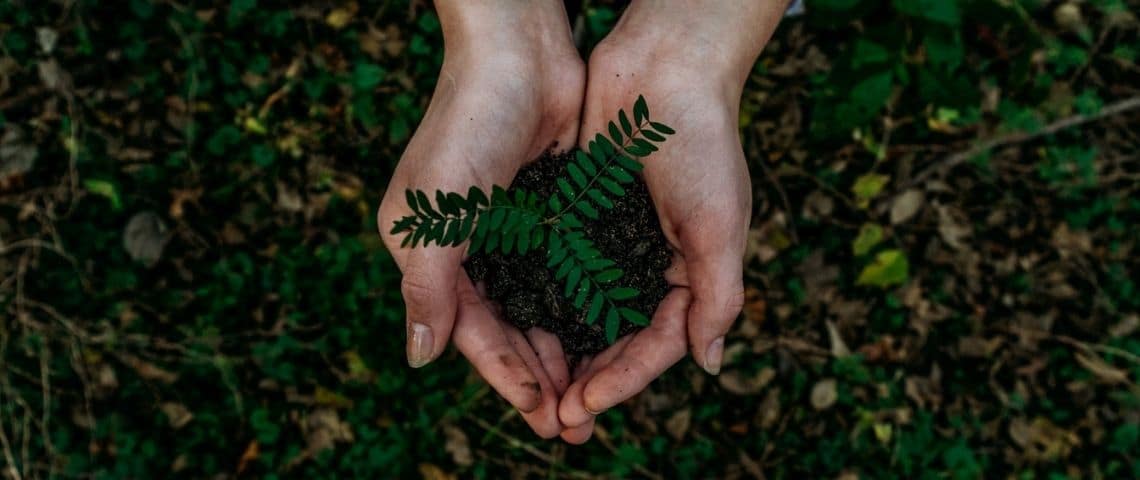 Quel futur pour nos enfants ? Climat, environnement, main, green