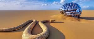 Un serpent et un cerveau humain