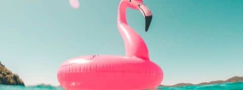 Le boom du tourisme vaccinal Une bouée flamant rose sur l'eau