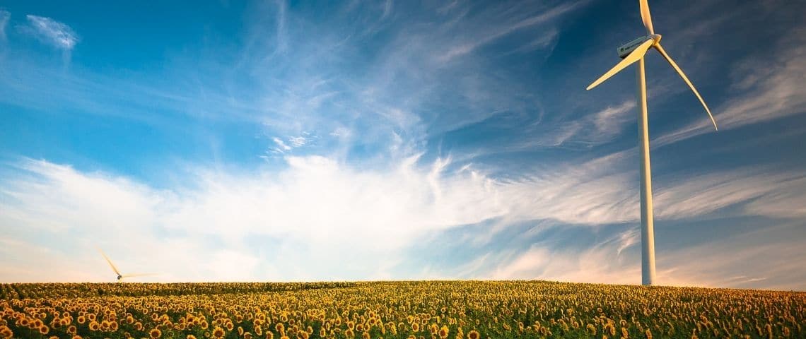 Transition écologique : les marques peuvent-elles sauver le monde ? Une éolienne dans un champ