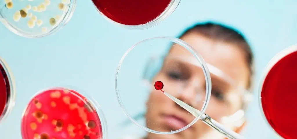 Une chercheuse manipule de la matière dans une boîte de pétri