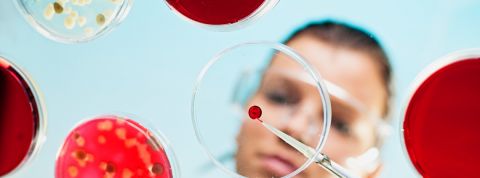 Civilisation in vitro : « On crée des bio-objets sans les maîtriser, à la manière de Frankenstein » Une chercheuse manipule de la matière dans une boîte de pétri